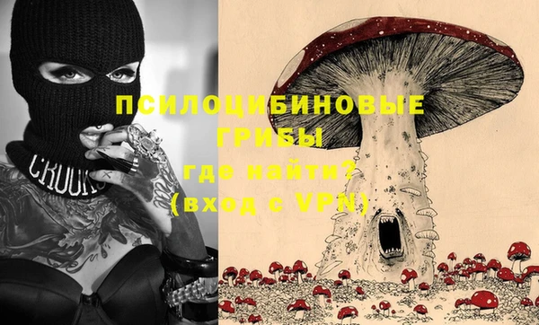 шишки Лагань