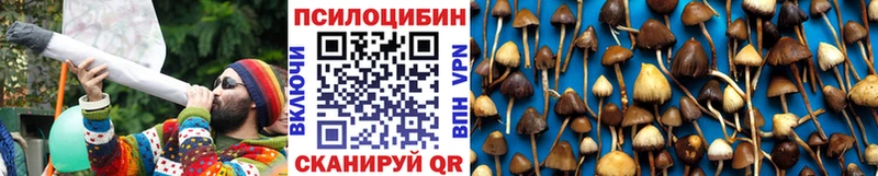 купить наркотики цена  Краснокамск  Галлюциногенные грибы Cubensis 