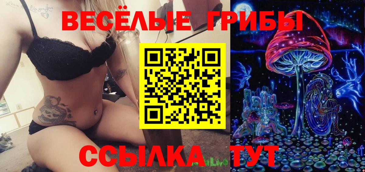 Краснокамск  Галлюциногенные грибы GOLDEN TEACHER  закладки  Вход с VPN 