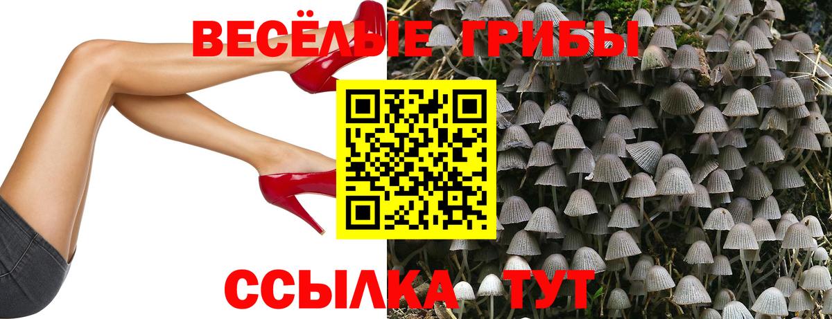 Псилоцибиновые грибы GOLDEN TEACHER Краснокамск